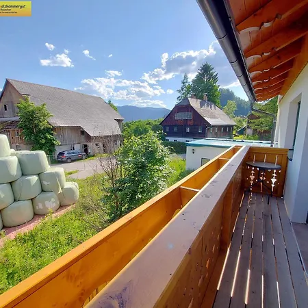 Sandlweber 2 By Fis - Fun In Styria Apartment Bad Mitterndorf